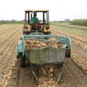 Заготовка продукции