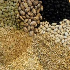 Семена зерновых и зернобобовых культур