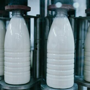 Молочное производство