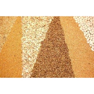 Заготовка сельскохозяйственной продукции и сырья