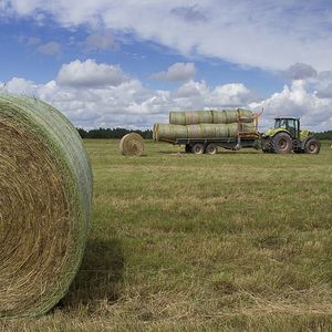 Заготовка кормов