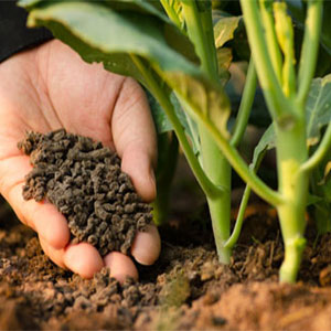 Сохранение и повышение плодородия почв