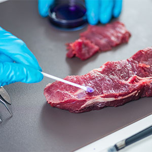 Анализ качества продукции животноводства