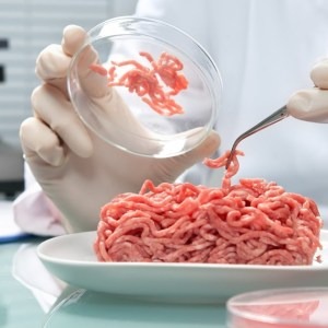 Контроль ветеринарно-санитарного качества продуктов