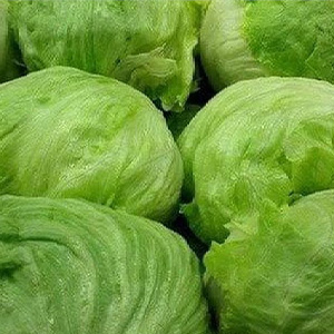 Салат айсберг