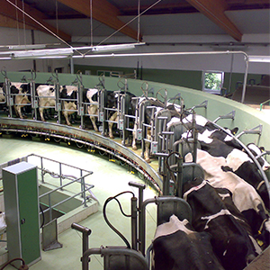Оборудование для молочных ферм