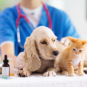 Ветеринарные препараты для домашних животных