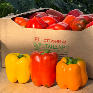 Перец сладкий