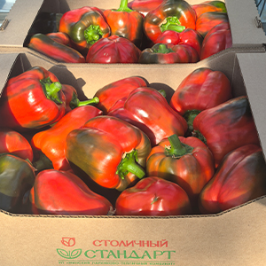 Перец красный