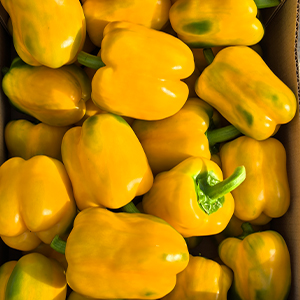 Перец желтый