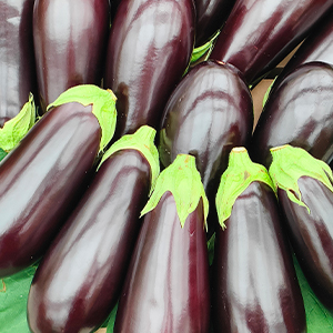 Купить баклажаны свежие