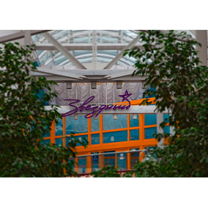 Ресторан «Звездный»