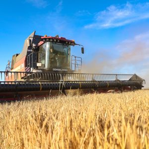 Производство растениеводческой продукции