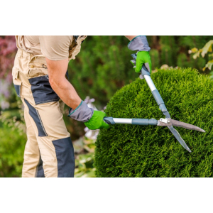 Ландшафтный дизайн