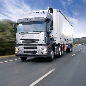 Транспортные услуги по перевозке грузов