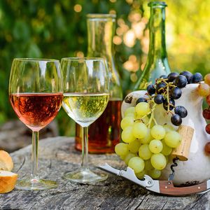 Производство плодово-ягодных вин