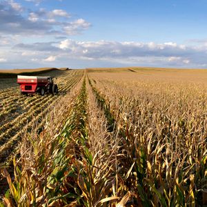 Производство продукции растениеводства
