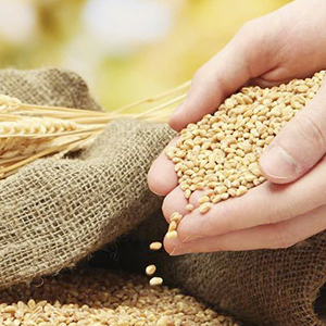 Релизация сельхозпродукции