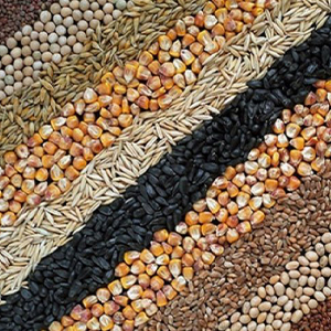 Сельхозпродукция от производителя