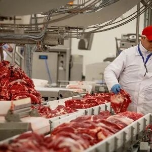 Производство мясной продукции