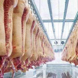 Свинина в тушах