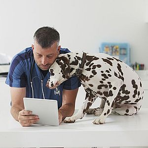 Ветеринарные консультации