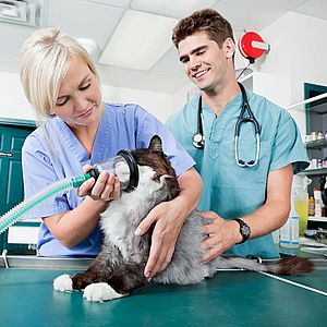 Услуги ветеринарной лаборатории