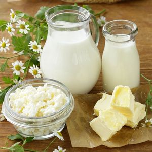 Производство молочных продуктов