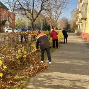 Санитарная очистка территории