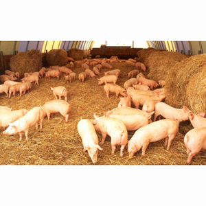 Сервисное обслуживание каркасно-тентовых сооружений