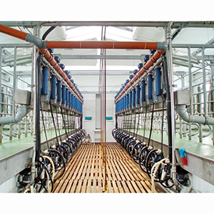 Доильное оборудование