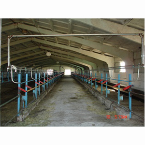 Установка доильная в молокопровод