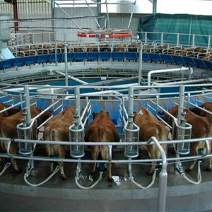Оборудование животноводческих ферм
