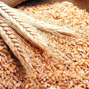 Реализация пшеницы Беларусь