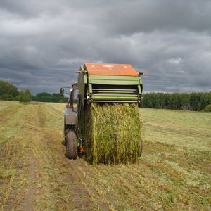 Заготовка травянистых кормов