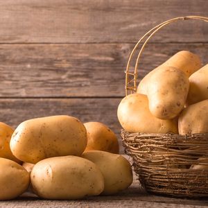Хозяйство выращивание картофеля