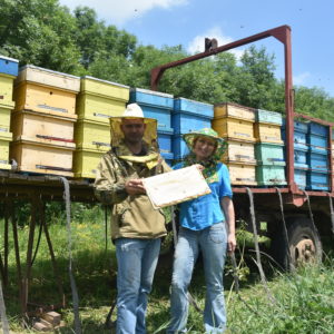 Инвентарь для пчеловодства продажа
