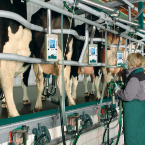 Обслуживание, ремонт животноводческих ферм