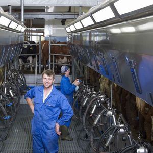 Монтаж оборудования животноводческих ферм