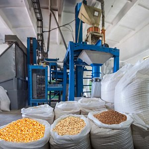 Обработка зерна