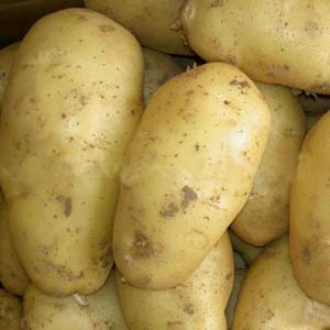 Картофель
