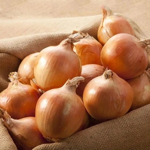 Лук