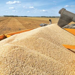 Заготовка сельскохозяйственной продукции и сырья