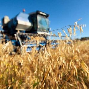 Производство продукции растениеводства