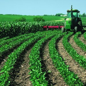 Растениеводство в сельском хозяйстве