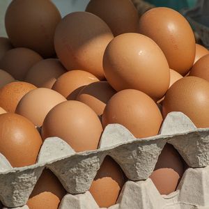 Яйца фасованные