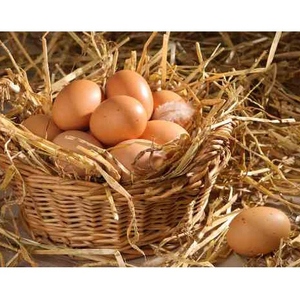 Яйцо куриное от производителя