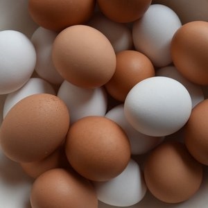 Яйцо куриное пищевое