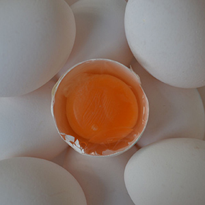 Яйцо столовое с оранжевым желтком, белое