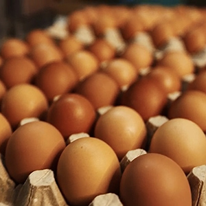 Яйцо второй категории